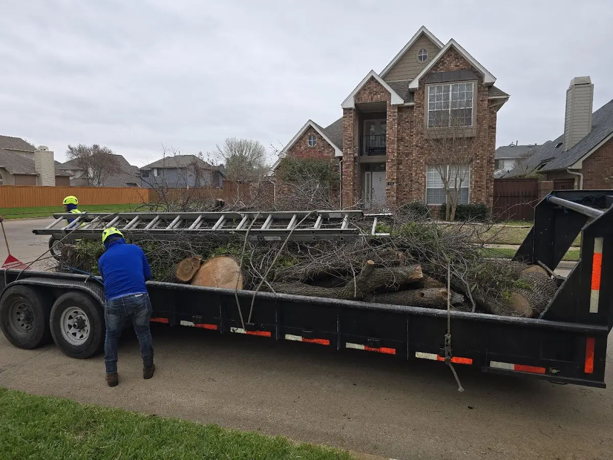 Expert Lot Clearing with proper safety equipment in Niota